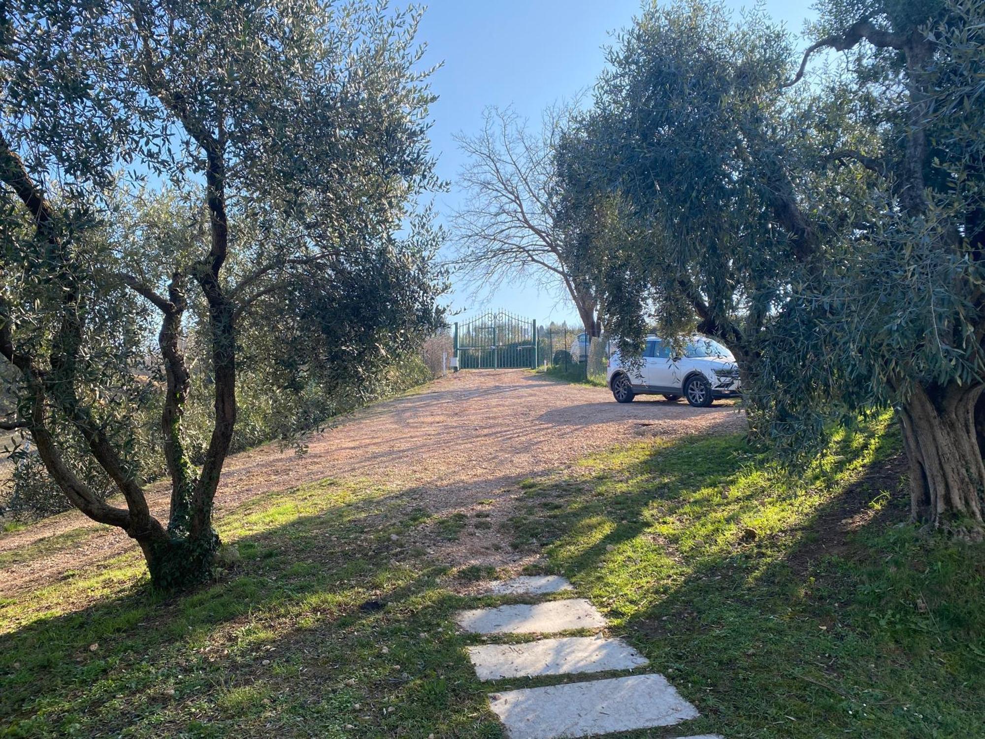 Residenza Cipressi E Olivi Leilighet Verona Eksteriør bilde